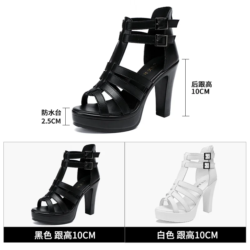 المصارع عالية الكعب منصة الصنا - مراجعة Gladiator Sandal Women وسعره